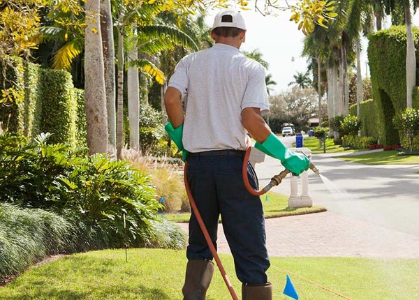 About Jermyn PA Pest Control